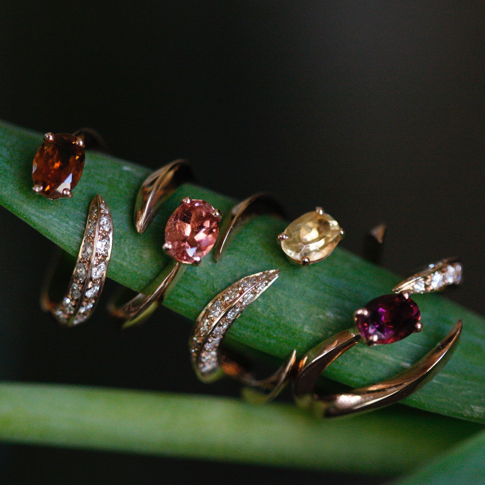 Anello 'Solis' quattro elementi in oro rosa e tormalina SOLIS | AN4 1TORM PVAU9R VD CT.0,60 + 0,30